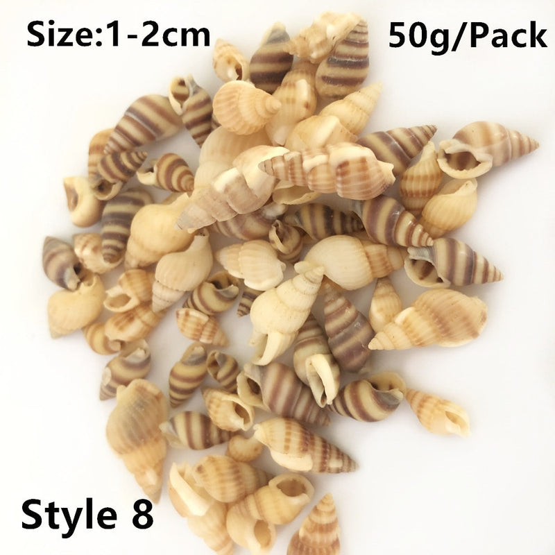 Natural Shells for Resin