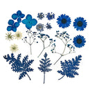 1 Pack Dried Flowers for Resin