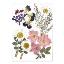 1 Pack Dried Flowers for Resin