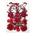 1 Pack Dried Flowers for Resin