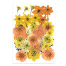 1 Pack Dried Flowers for Resin