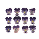1 Pack Dried Flowers for Resin