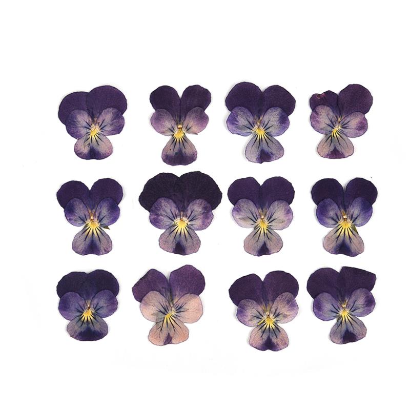 1 Pack Dried Flowers for Resin