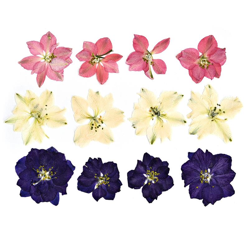 1 Pack Dried Flowers for Resin