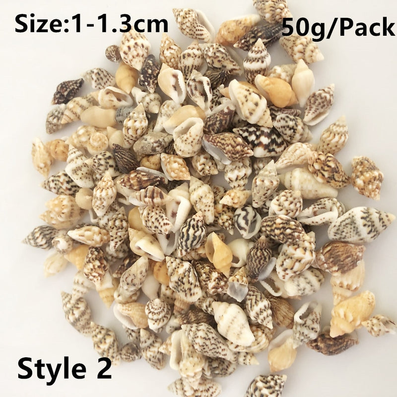 Natural Shells for Resin