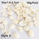 Natural Shells for Resin