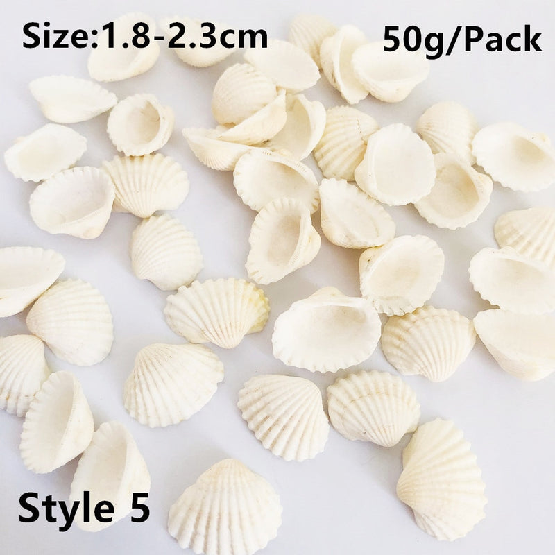 Natural Shells for Resin