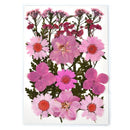 1 Pack Dried Flowers for Resin