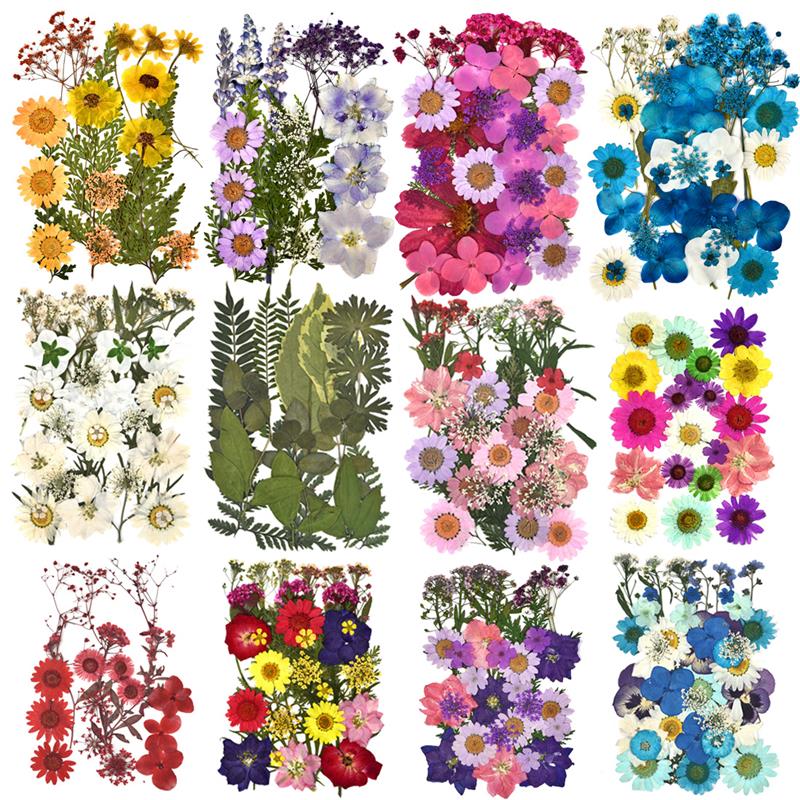 1 Pack Dried Flowers for Resin