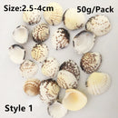 Natural Shells for Resin