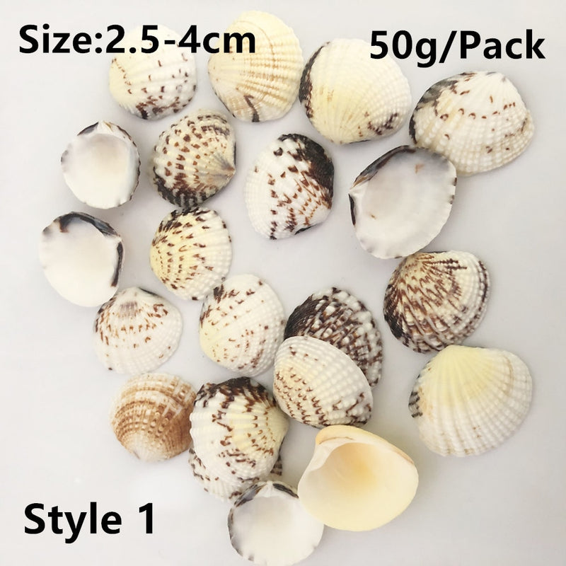 Natural Shells for Resin