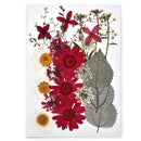 1 Pack Dried Flowers for Resin