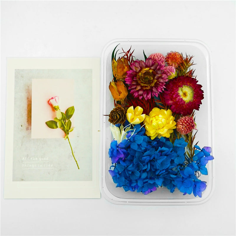 Dried flowers for resin and crafts.