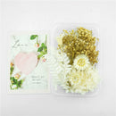 Dried flowers for resin and crafts.