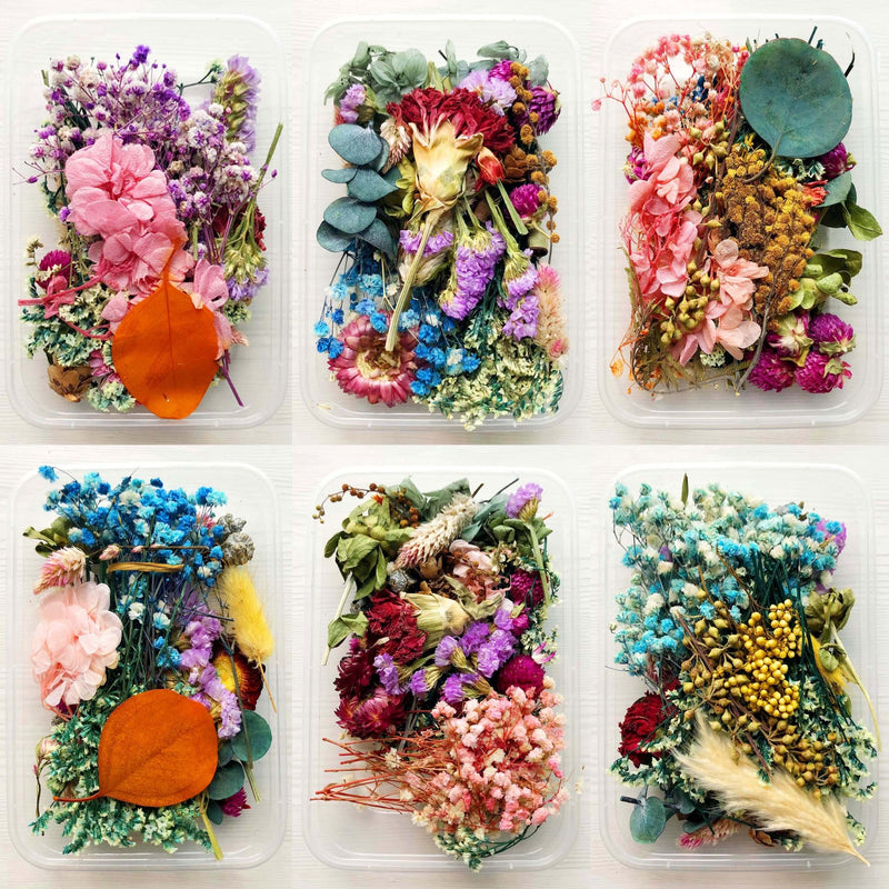 Dried flowers for resin and crafts.